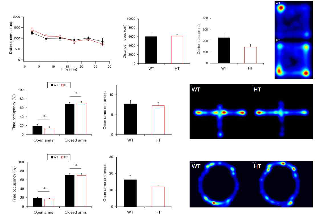 정상쥐와 DKK2 heterozygous mutant mouse의 open field, elevated plus maze, zero maze activity