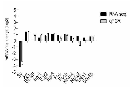 Real-time qPCR로 RNAseq 결과 발굴된 유전자 발현 변화를 확인. qPCR 결과 RNAseq 결과 발굴된 유전자 발현이 대부분 일치함