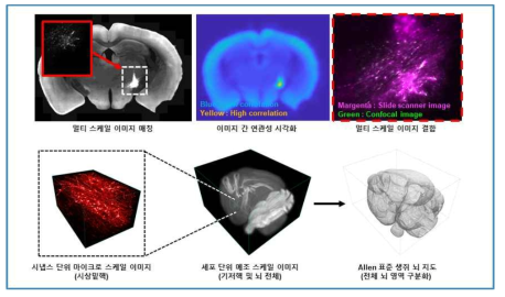 정합 알고리즘 개발 모식도