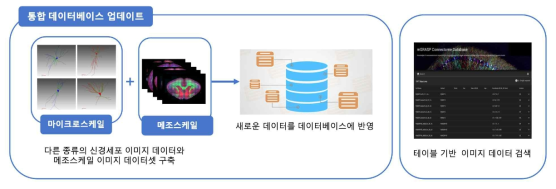 통합 데이터베이스 업데이트