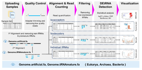tRNA 발현 분석 소프트웨어 파이프라인
