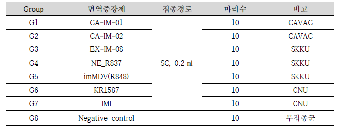 면역증강제 스크리닝 1차 시험그룹