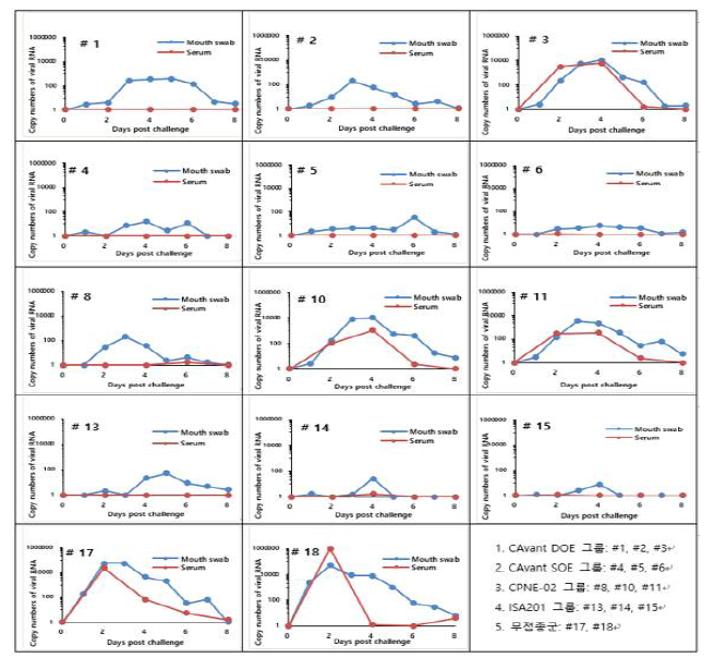 Mouth swab 및 Serum 샘플의 Real-time PCR 결과
