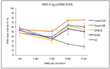 FMDV type A(pAVM) ELISA 결과