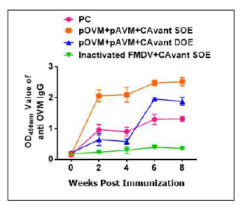 FMDV type O의 Home ELISA test 결과