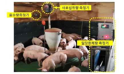 사료섭취량 및 체중측정 장비