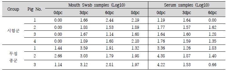 FMDV O type 바이러스 배출량 및 Viremia 확인 결과