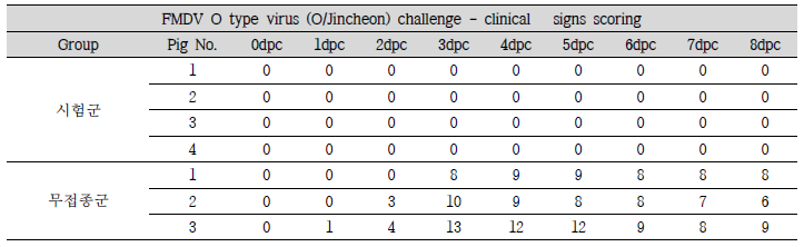 FMDV O type 임상증상 확인 결과