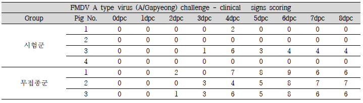 FMDV A type 임상증상 확인 결과