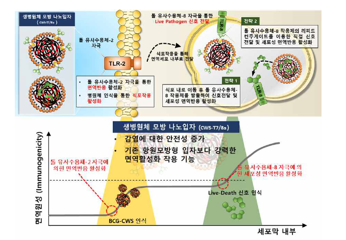 병원균 외벽 성분 기반 생병원체 모방 나노입자