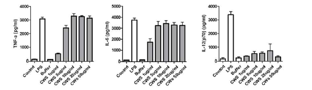 병원균 외벽 성분으로 인한 마우스 골수유래 수지상세포에서의 사이토카인