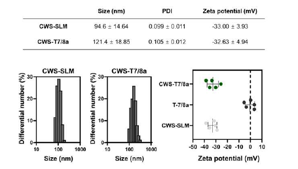 CWS-SLM과 CWS-T7/8a 에 대한 DLS 및 Zeta potential 분석