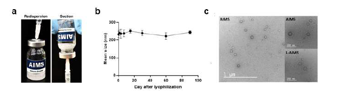 동결 건조 전 후 의 AIMS 플랫폼 나노입자의 비교 및 안정성 확인
