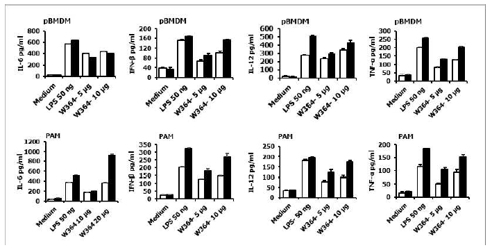 돼지 면역세포에서 W364의 면역자극 효능 검증