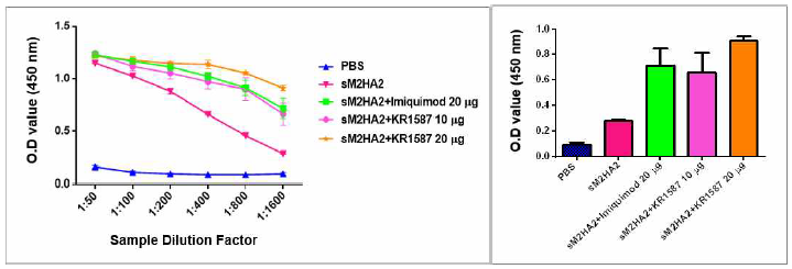 sM2HA2 항원에 대한 KR1587의 체액성 면역원성 검증