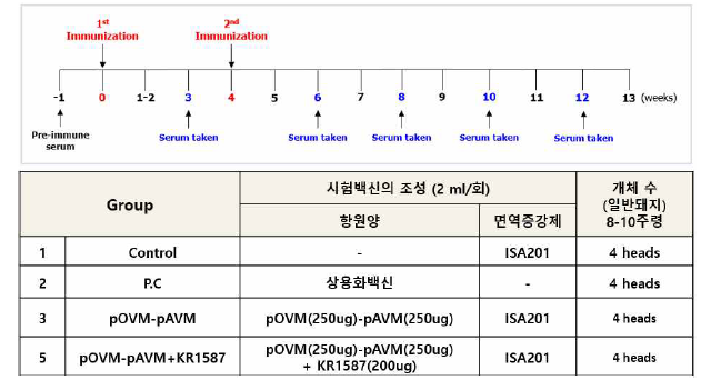 KR1587의 면역증강 효능 검증을 위한 돼지실험 스케쥴