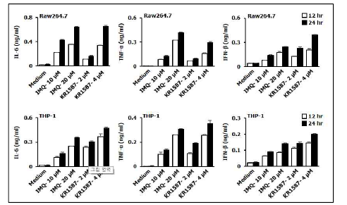 Raw264.7 cell과 THP-1에서 KR-15870의 면역증강 효과