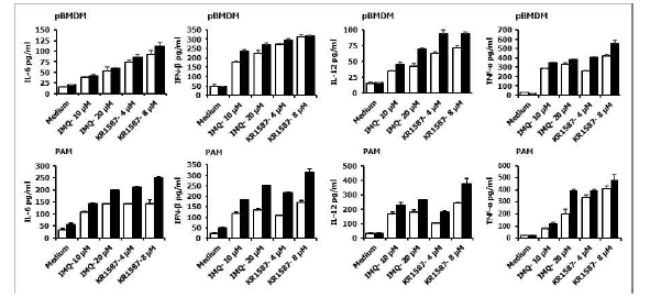`. Porcine BMDM과 PAM에서 KR-15870의 사이토카인 유전자 증강 효과
