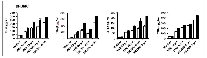 Porcine PBMC에서 KR1587의 면역자극 효과