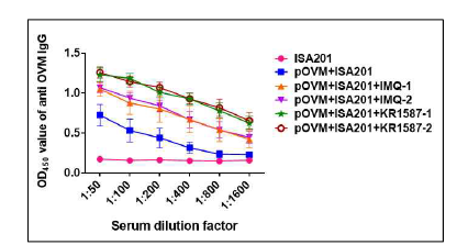 OVM항원에 대한 항체가 측정을 통한 KR-15870의 면역증강효능 검증