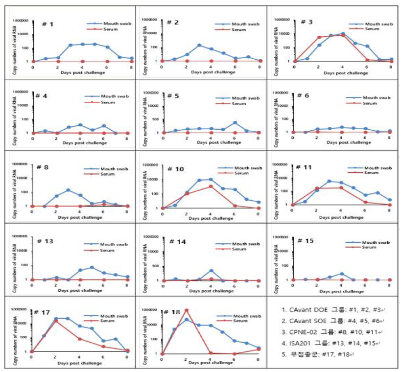 Mouth swab 및 Serum 샘플의 Real-time PCR 결과