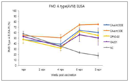 FMDV type A(pAVM) ELISA 결과