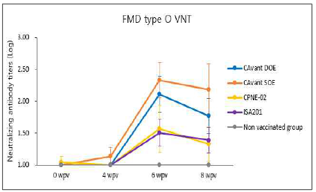 FMDV type O(pOVM) VN test 결과