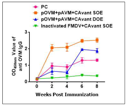 FMDV type O의 Home ELISA test 결과