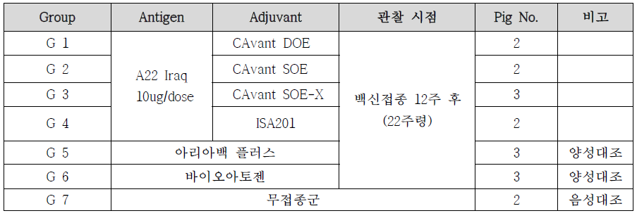 백신보조제 타입 및 상용화 백신과의 안전성 비교평가 시험그룹