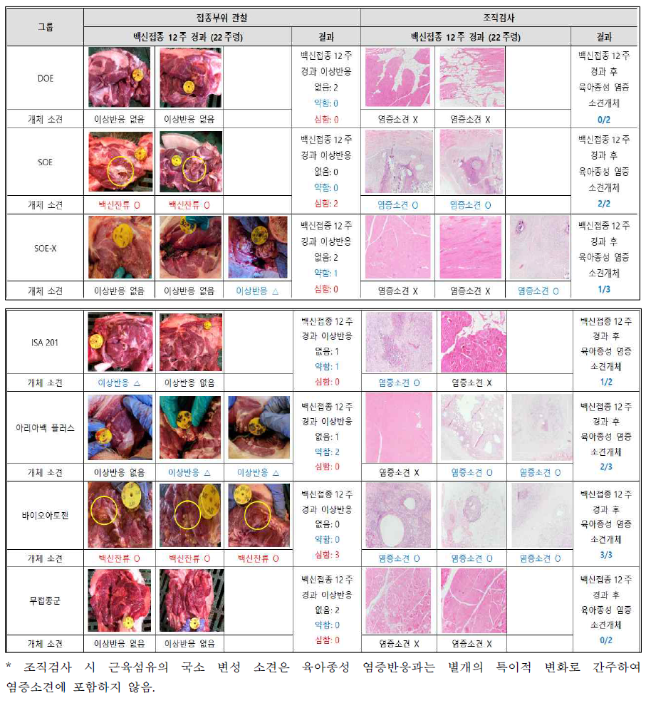 백신보조제별 접종부위 관찰 및 조직검사 결과