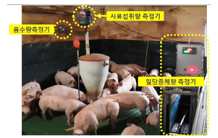 사료섭취량 및 체중측정 장비