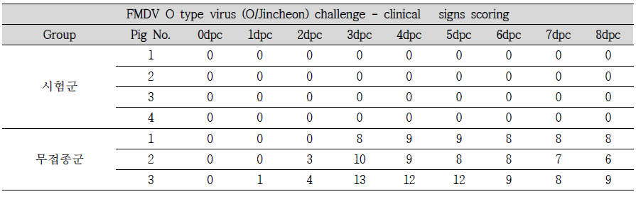 FMDV O type 임상증상 확인 결과