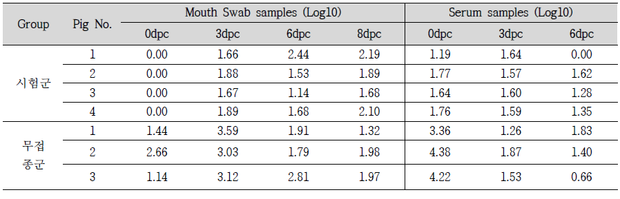 FMDV O type 바이러스 배출량 및 Viremia 확인 결과
