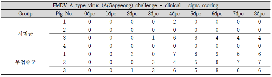 FMDV A type 임상증상 확인 결과