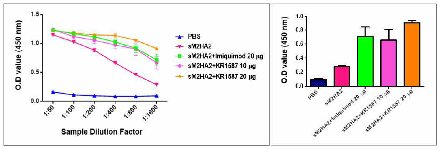 sM2HA2 항원에 대한 KR1587의 체액성 면역원성 검증