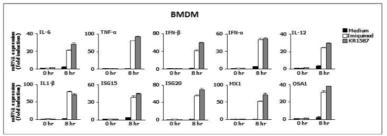 마우스 BMDM에서 KR1587의 사이토카인 유전자 증강 효과