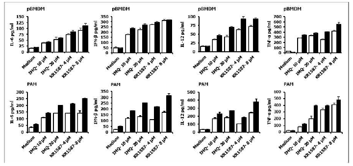Porcine BMDM과 PAM에서 KR-15870의 사이토카인 유전자 증강 효과