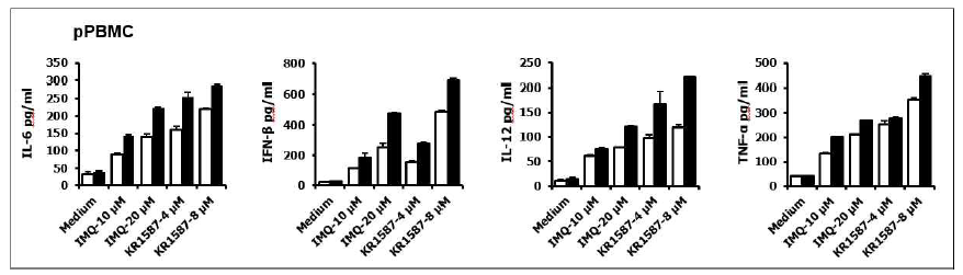 Porcine PBMC에서 KR1587의 면역자극 효과