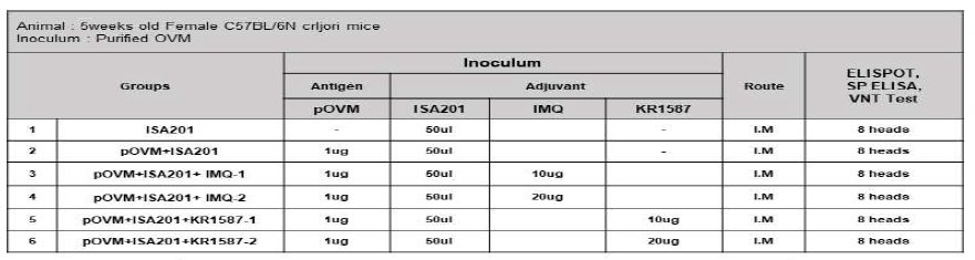KR1587의 면역증강 효능 검증을 위한 마우스 스케쥴
