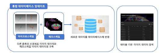 통합 데이터베이스 업데이트