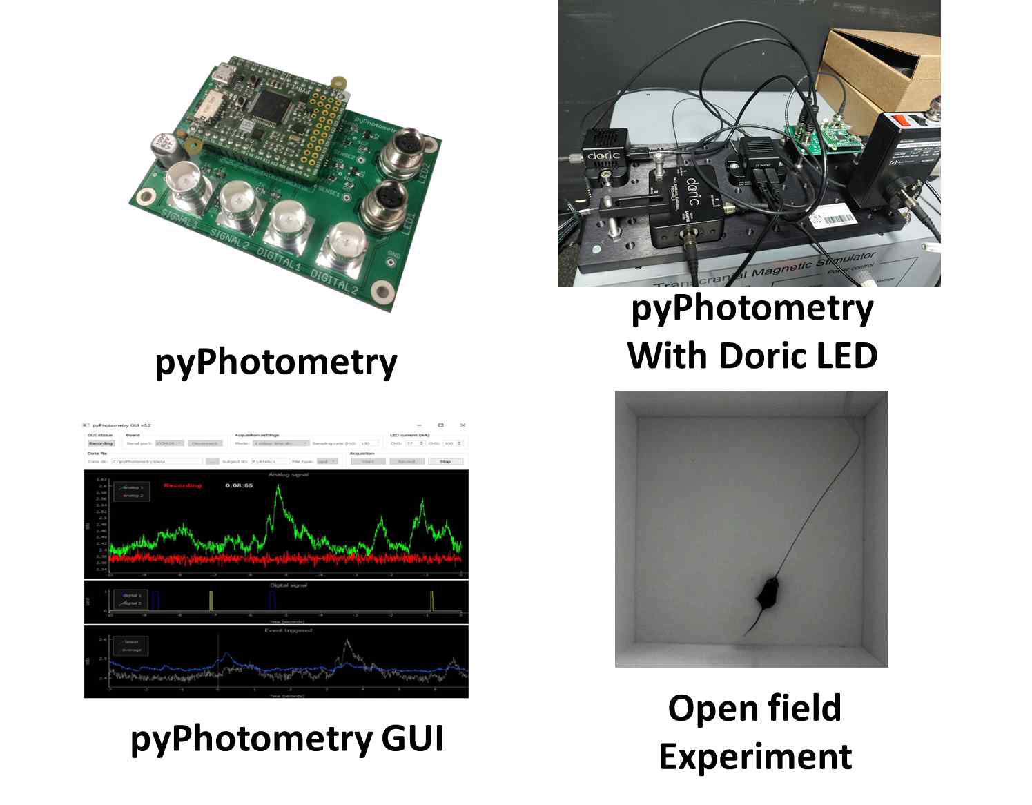 광섬유 광도측정 및 행동측정을 위한 시스템 및 실험환경