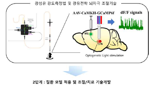 광섬유 광도측정법 및 광유전학 뇌자극 조절기술 설명