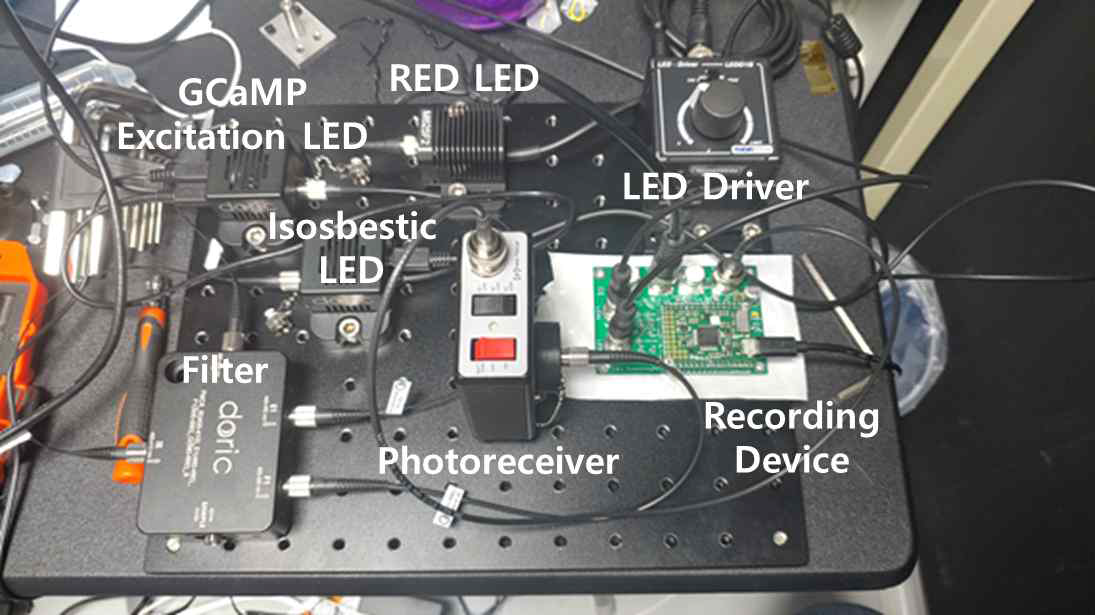 완성된 광도파측정 및 광유전학 뇌자극이 동시에 가능한 실험장치