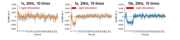 10회 반복된 광유전학자극에 대한 기저핵 PV 신경세포들의 활동변화