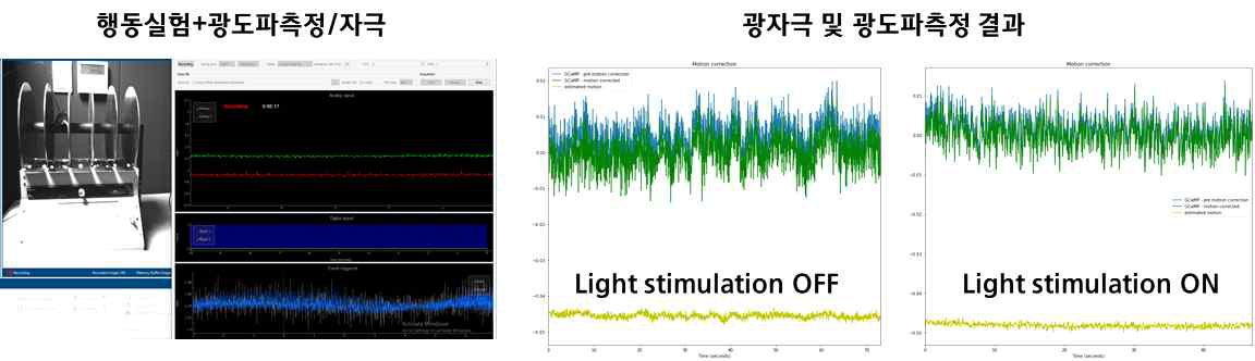 Rota rod test 행동실험 동시에 광자극 광도파측정 실험 수행