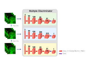 감별자 신경망 구조: Multi-Patch GAN