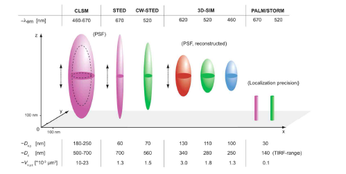 최첨단 초고해상도 현미경 기술에도 나타나는 비등방성 문제. 출처: Schermelleh et al., J. Cell Biol., 2010