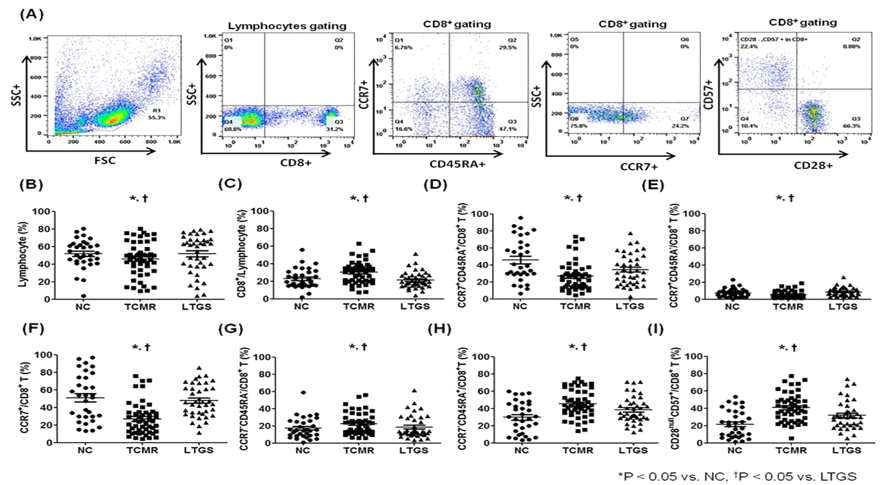 거부반응 여부에 따른 T cell FACS analysis