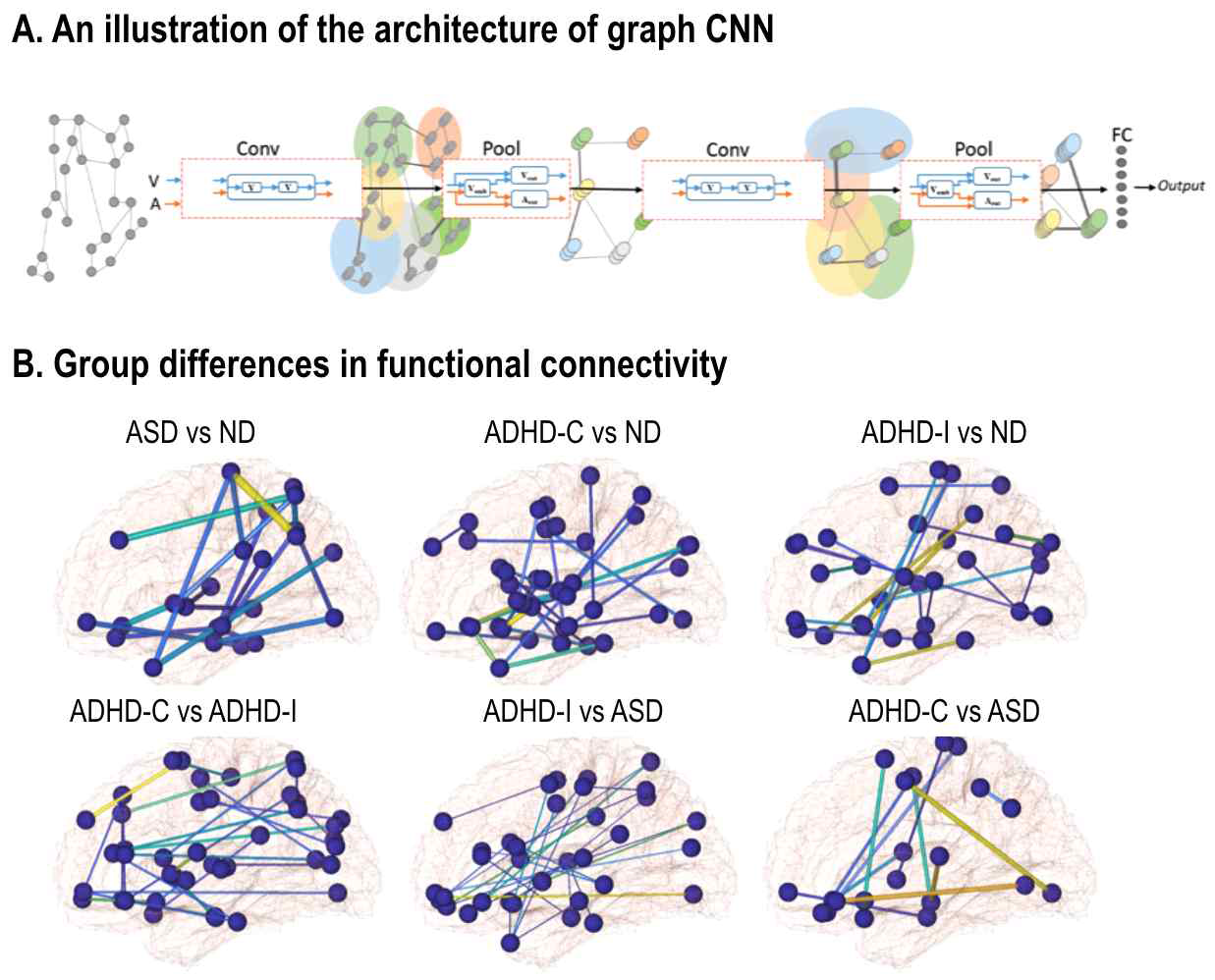 Graph-CNN 모델 학습방법(A)과 그룹간 뇌기능 연결성 차이(B)