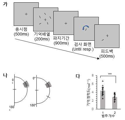 (가) 자극 간 유사성에 따른 기억 표상의 정확성 증진을 살펴본 행동 실험 패러다임. (나) 실험 자극 방위. 5개의 방위 자극이 모두 유사하거나(자극 간 각도차 5°), 5개의 방위 자극 중 1개 자극만 45°의 현저히 다른 방위로 제시. (다) 행동 실험 결과